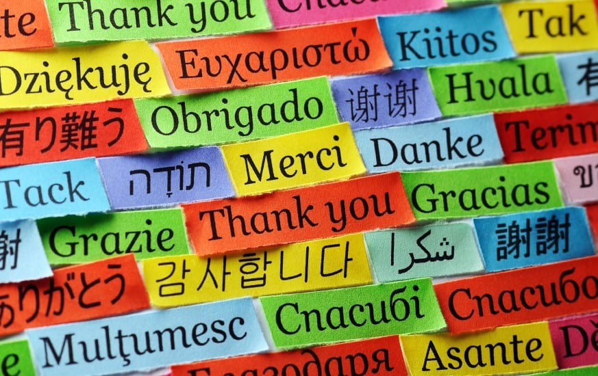Teaching English and Learning Languages
